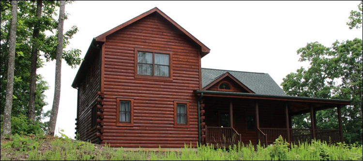 Professional Log Home Borate Application  Buena Vista City, Virginia
